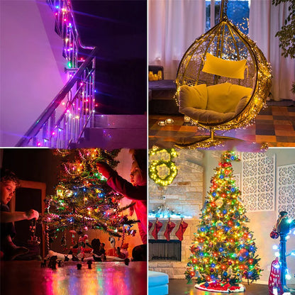 Luminous LED Strands